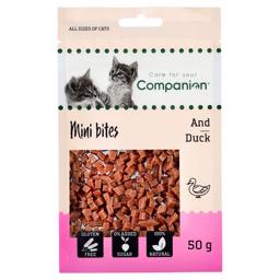 Companion Kattegodbidder Mini Bites med And 50g